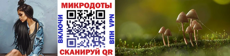 Псилоцибиновые грибы мухоморы  хочу   ссылка на мегу tor  Миасс 